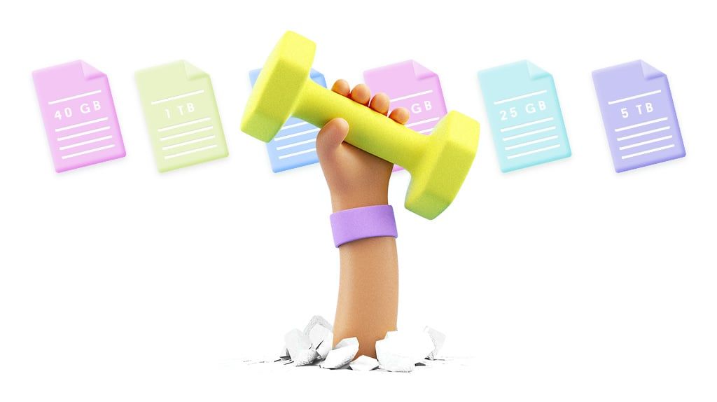 プラスチック SCM ラージ ファイル